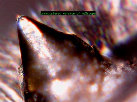 Flickriver Piano Piano S Photos Tagged With Nude