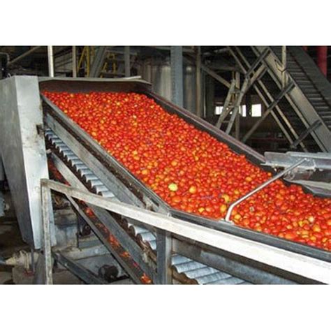 Tomato Processing Plants At Best Price In India