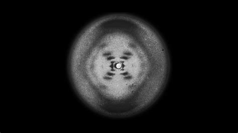 Powerhouse of the Cell