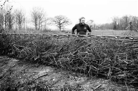 Hedgelaying And Planting Wonderwood