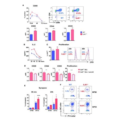 Stronger In Vitro Activation Of P Cells By Il I Dcs Dcs From