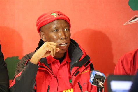 julius malema  eff prepared   zuma  court city press