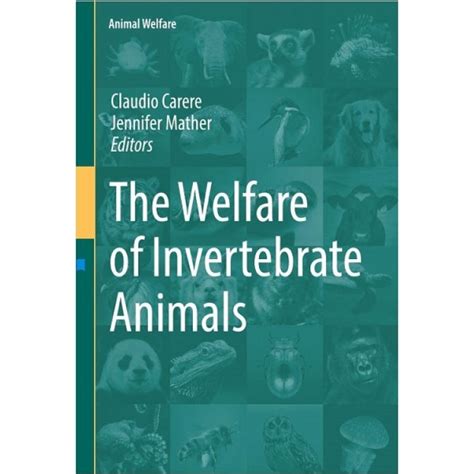 The Welfare Of Invertebrate Animals