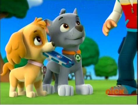 Rocky Gallery Pups Save Ryder Paw Patrol Wiki Fandom