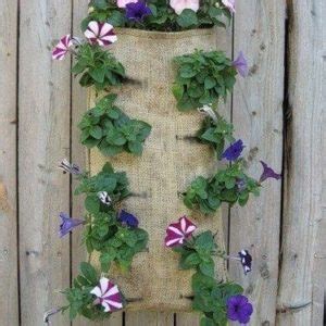 Вертикальный огород - Питомник растений ФЛОРИНИ