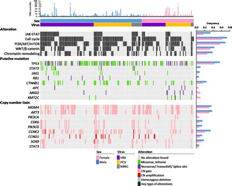 Study Of Sex Biased Differences In Genomic Profiles In East Asian Hepatocellular Carcinoma