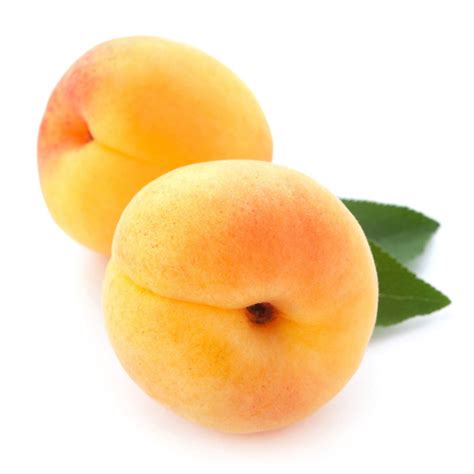 Albicocca Sungiant - Garden Center Mediterraneo