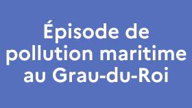 Episode De Pollution Maritime Au Grau Du Roi Plage De L Espiguette