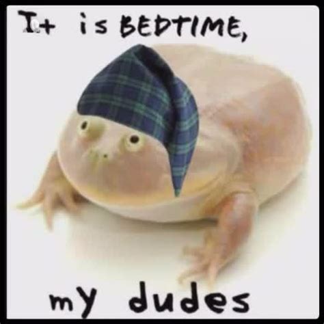 Лягушка с микрофоном мем