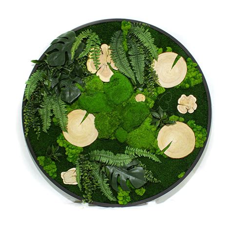 Картины и панно из мха купить недорого / Интернет магазин Эко декор