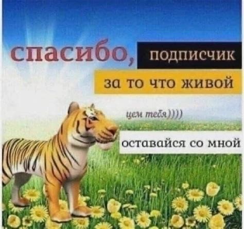 крекерная пыль | ВКонтакте