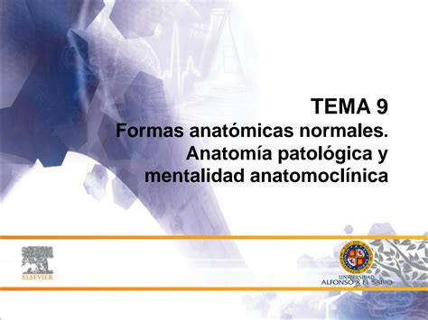 SOLUTION 09 Formas Anat Micas Normales Anatom A Patol Gica Y