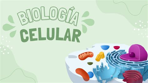 SOLUTION Biolog A Celular Membrana Y N Cleo Studypool