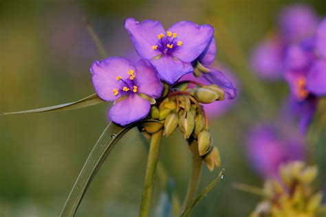 Shawnee County, KS, USA Sunrise Sunset Times