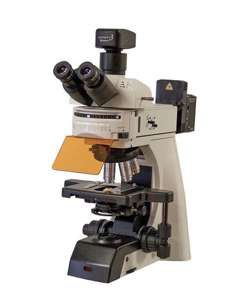 Accu Scope Exc 500 Fluorescent Ergonomic Trinocular Microscope Microscope Solutions