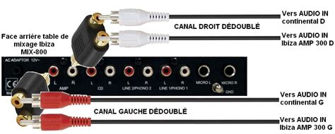 Problème branchements 2amplis sur un PC Audio