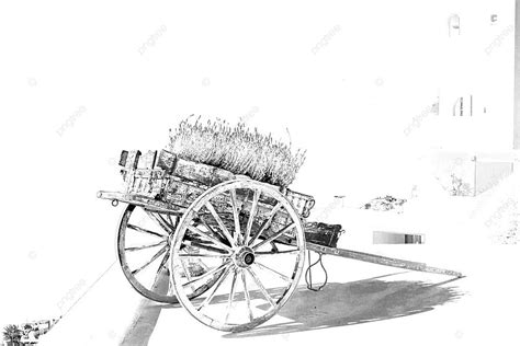 Handcart Photo Background And Picture For Free Download Pngtree