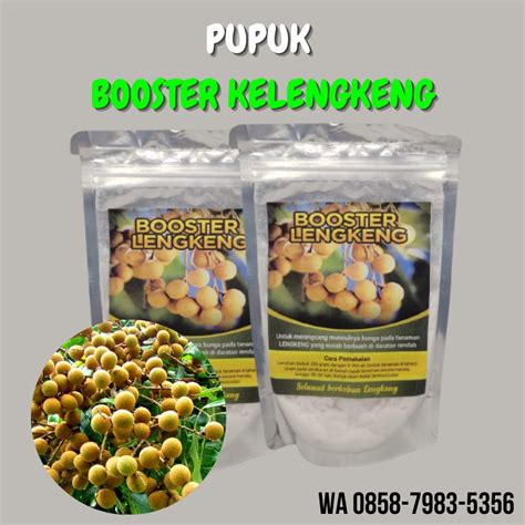 Jual Pupuk Kelengkeng Agar Cepat Berbuah Pupuk Booster Kelengkeng