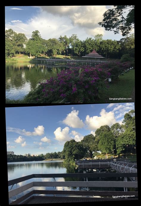 macritchie reservoir trail map Archives - Sengkang Babies