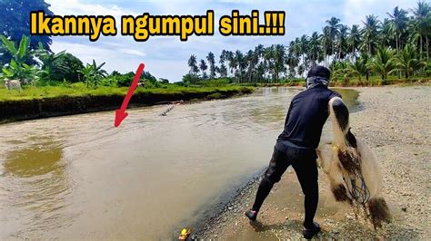 JALA IKAN DI SUNGAI KECIL NEMU KAWANAN IKAN NGUMPUL Amazing