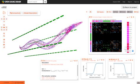 Overview - c302 - Open Source Brain