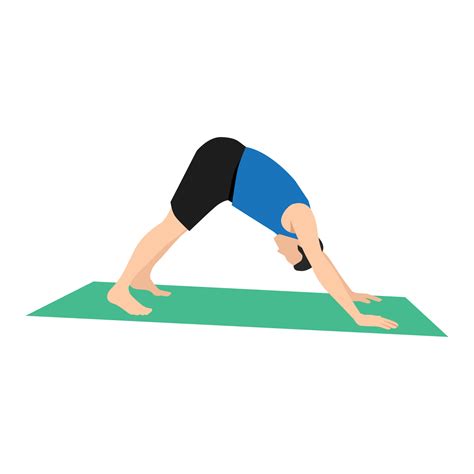 Man Doing Adho Mukha Svanasana Or Downward Facing Dog Yoga Posevector