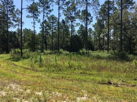 Residents are protesting the proposed expansion of the lake butler fl jail 30
