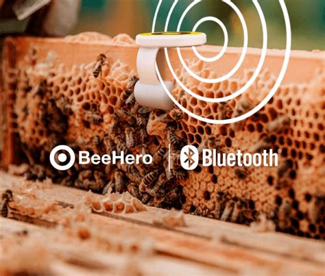 Beehero Uses Iot Sensor Technology To Save Bees Silicon Labs