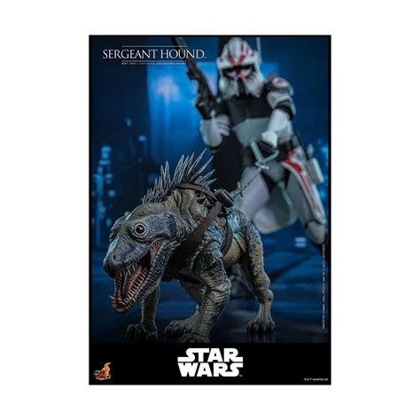 Hot Toys Figurines De Collection Haut De Gamme Marvel Star Wars Dc Comics