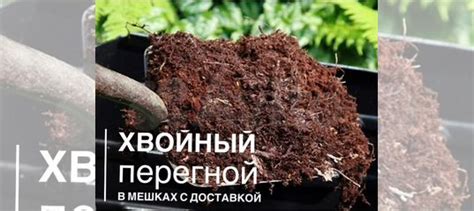 Перегной хвойный торф, (мульча, опад) купить в Старом Осколе с ...