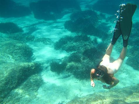 Snorkel Scuba And Free Diving Vol F Undwtr A Porn Pic