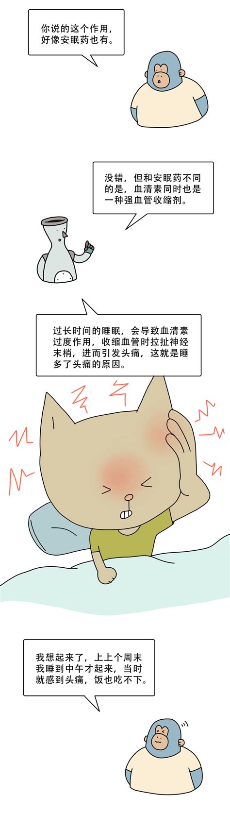 睡回笼觉会让人变笨吗？ 知乎