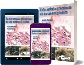 Libro Enfermedades Infecciosas De Los Caninos Y Felinos Descargar PDF