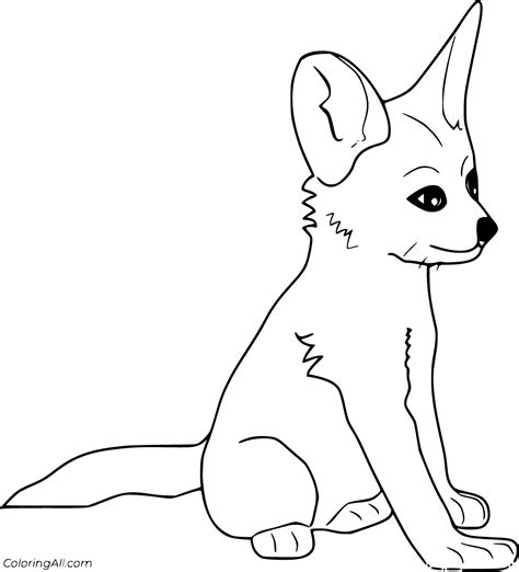 Fennec Fox Outline Drawing