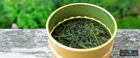 Shincha Green Tea – The Luxury of Japanese Green Tea – A Global ...