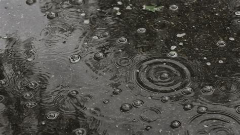 Wetter in Schönewalde heute Ihre Wettervorhersage für heute morgen