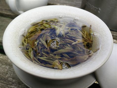 Fresh Hot Leaf Juice Tea