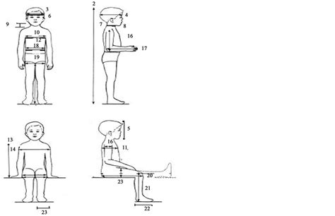 Anthropometric Comparison Of Three Year Old Nigerian Child And Crash