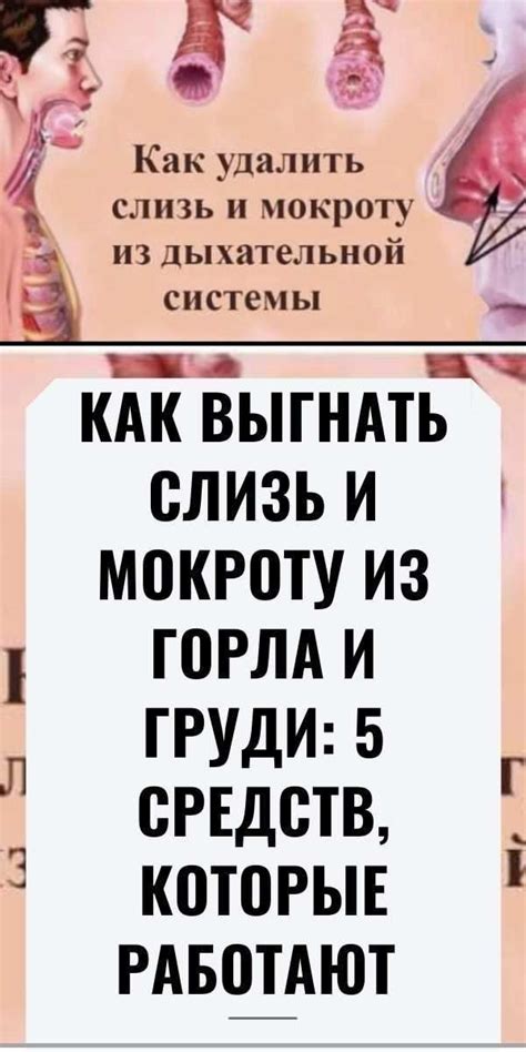 НАРОДНЫЕ РЕЦЕПТЫ | Средства от храпа, Лечение синусита, Средства от ...