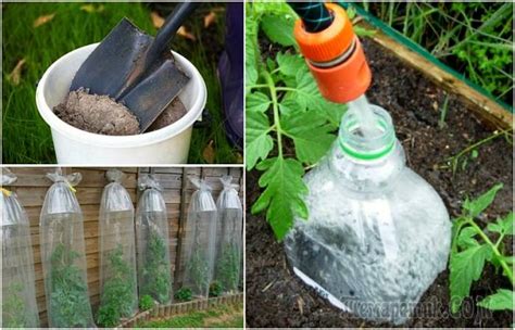 12 советов для дачников, которые стоит взять на заметку / Домоседы