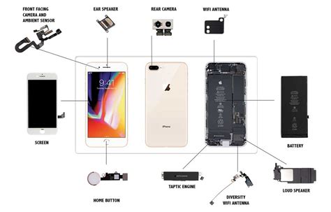 Exploring the Inner Workings of the iPhone 8 Plus: A Diagram Breakdown