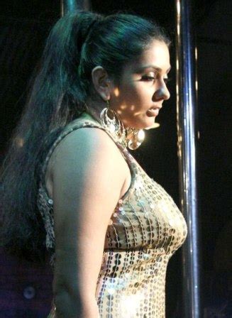 HOT ACTRESSES PICTURES AND GOSSIPS Namitha South Indian Actress Hot Picture Gallery
