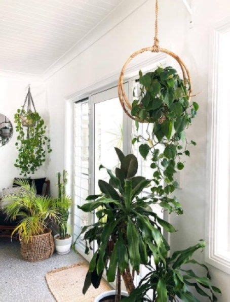 Indoor Herb Planter Wall Garden Indoor Indoor Plant Hangers Wall