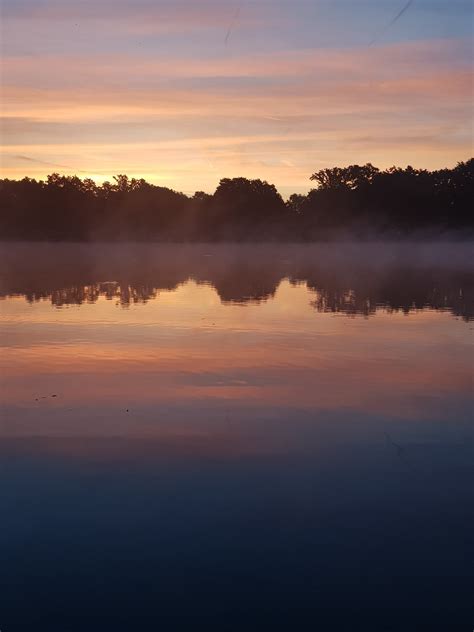 Watmore Farm Fishery Hampshire
