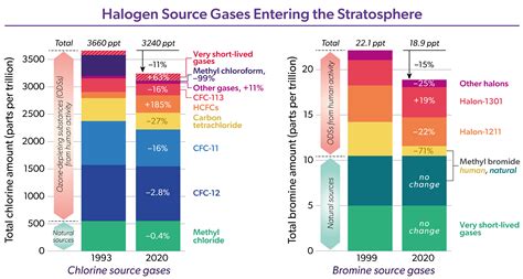 Scientific Assessment of Ozone Depletion 2022: Twenty Questions and