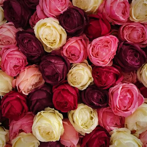 What Color Of Flowers Go Together at Maria Baum blog