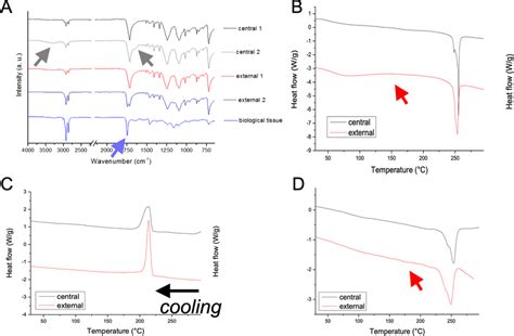 A, ATR-FTIR spectra collected in different regions of the central and ...