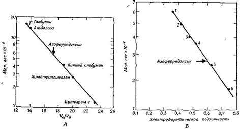 Определение молекулярного веса - Как мы изучаем структуру молекул ...