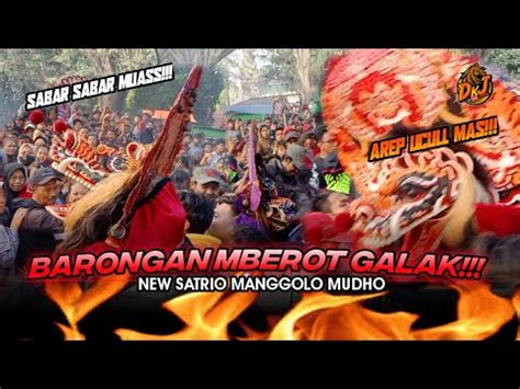 Rampokan Barongan Galak Mberot Jaranan New Satrio Manggolo Mudho Di