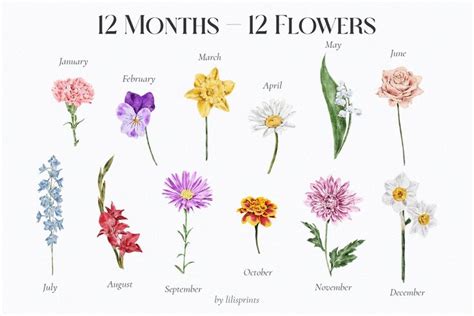 Watercolor Birth Month Flowers July Birth Flower Birth Month Flowers